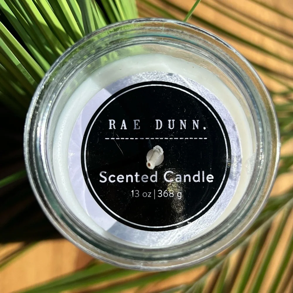 ❌SOLD❌ Rae Dunn NWT NO-FLY ZONE. Dragonfly Citronella Marigold 13oz Candle - Picture 3 of 10